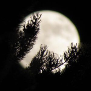 Rising moon seen through the kitchen window, Ginty Creek