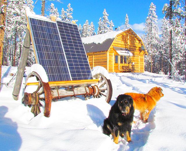 solar panels, dogs and house at Ginty Creek