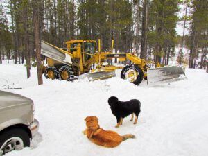 Interior Roads' grader ploughing the road at Ginty Creek