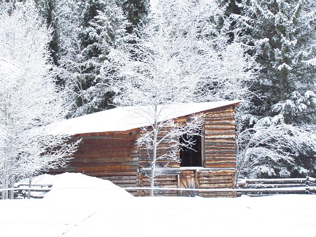 One of the old barns at Ginty Creek
