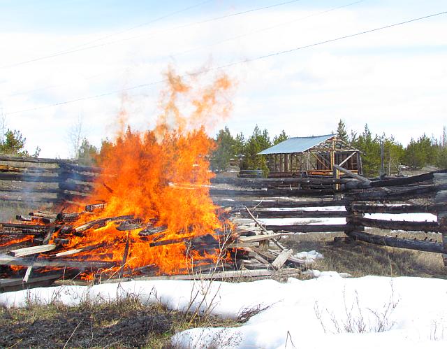 burning rotten wood at Ginty Creek