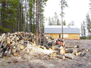 bucking up firewood at Ginty Creek