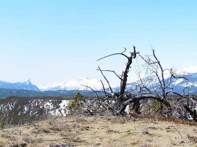 View from North Bluff at Ginty Creek