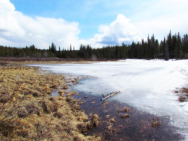 The lower pnd at Ginty Creek is starting to thaw