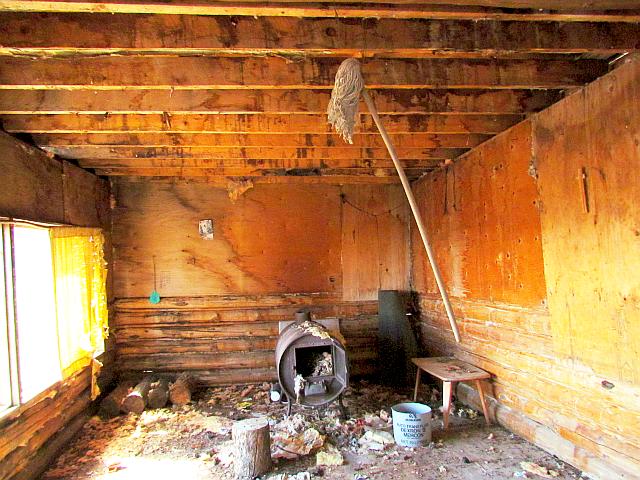 derelict cabin