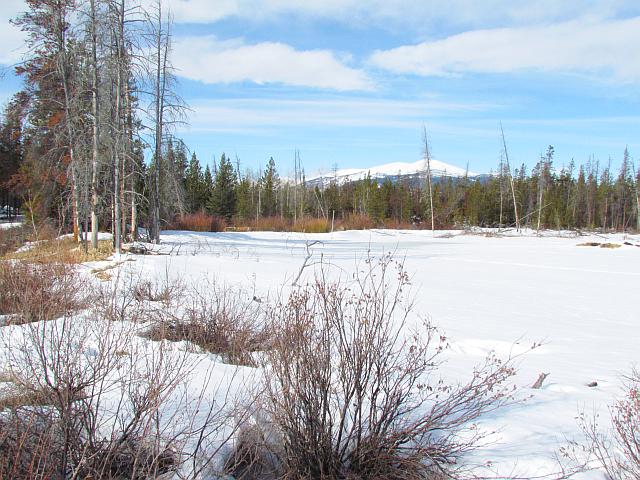 upper pond at Ginty Creek