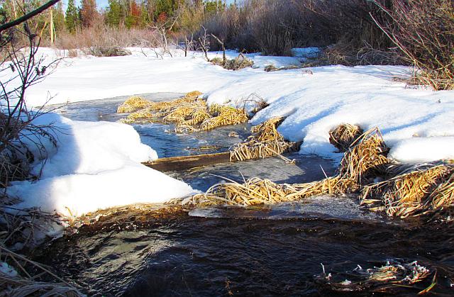 temporary water supply at Ginty Creek