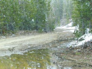 late April flurries at Ginty Creek