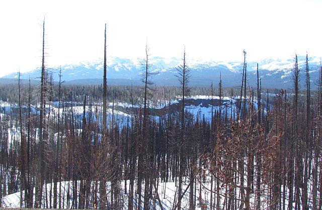 A burn along Highway 20 near the top of The Hill