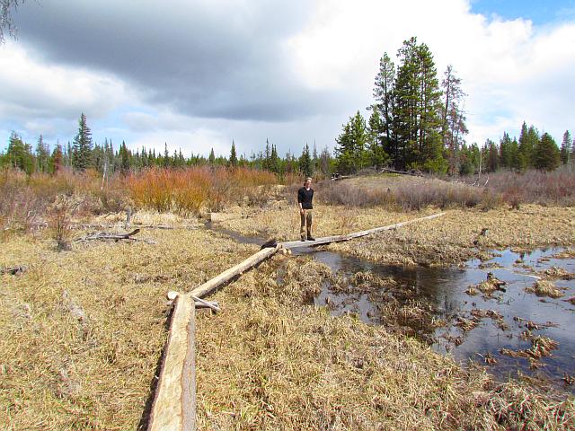 The new boardwalk at Ginty Creek