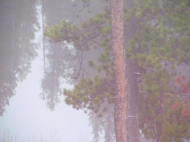 morning mists on the lower pond at Ginty Creek