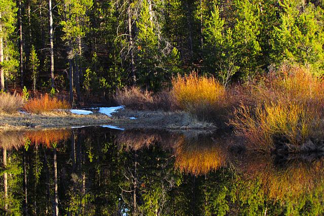 the lower pond at ginty Creek in evening light