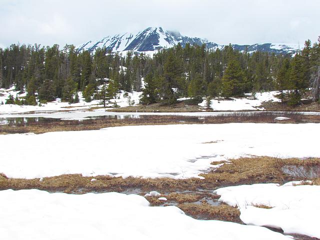 bog and flood near Anvil Mt.