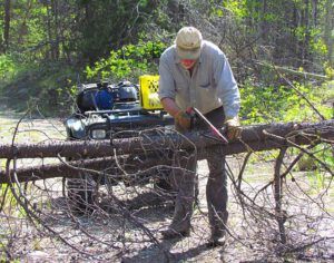 cutting a tree from the Precipice Road