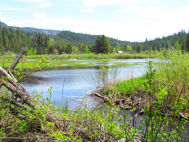 Fred's house beside the flooded Hotnarko