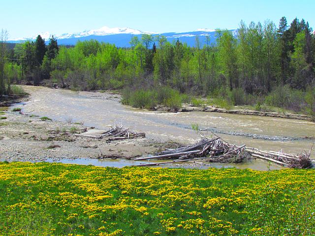 McLinchy river in semi-flood