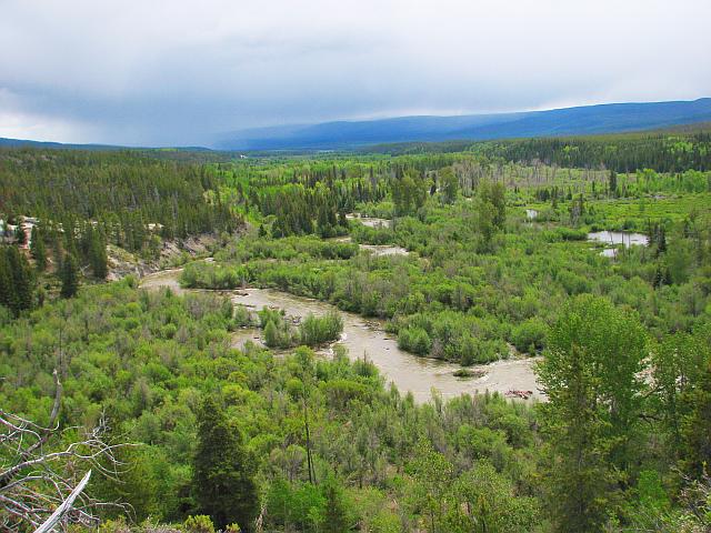 wetlands near the McClinchy River