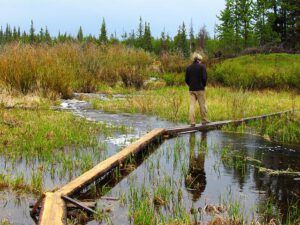 The little bridge over a flooded Ginty Creek