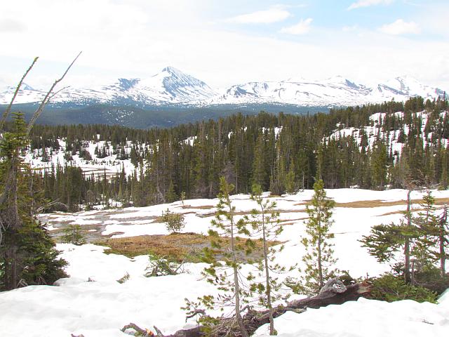 a waterlogged meadow above Nuk Tessli