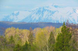 Middle Mountain seen from Ginty Creek