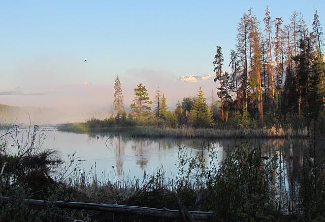 slough near Ginty Creek