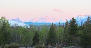 sunrise from the window at Ginty Creek.