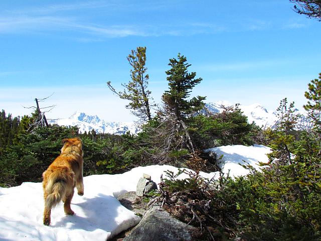 snow covering the trail to Boundary Lake