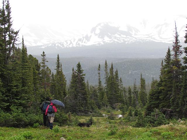 Flat top Mountain