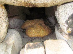 bread in Nuk Tessli's stone oven
