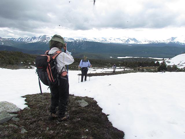 Snow and bugs at th top of Long Meadow