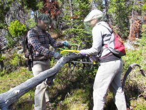 brushing out trails at Nuk Tessli