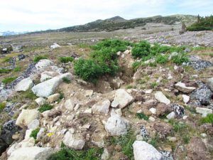 marmot hole