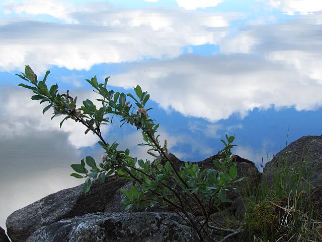 clouds reflected in Otter Lake