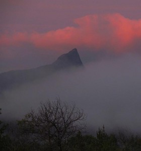 foggy sunrise at Ginty Creek