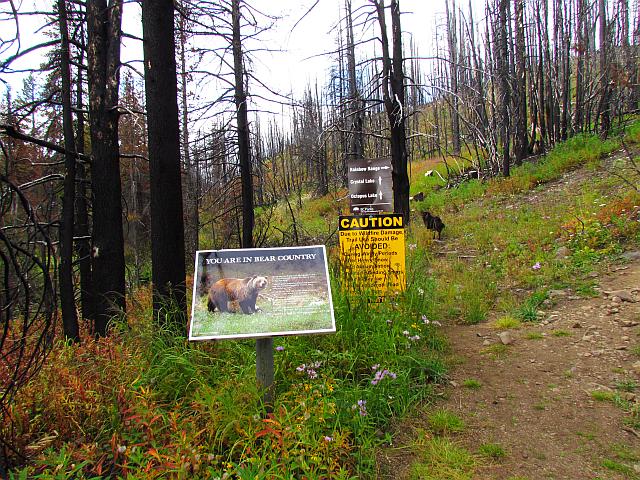 Tweedsmuir Park trailhead