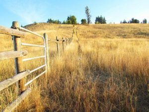 grasslands at Walker Island