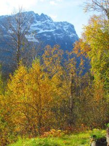 Mt Stupendous in the Bella Coola Valley