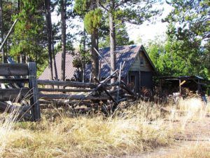 cabin at ginty Creek