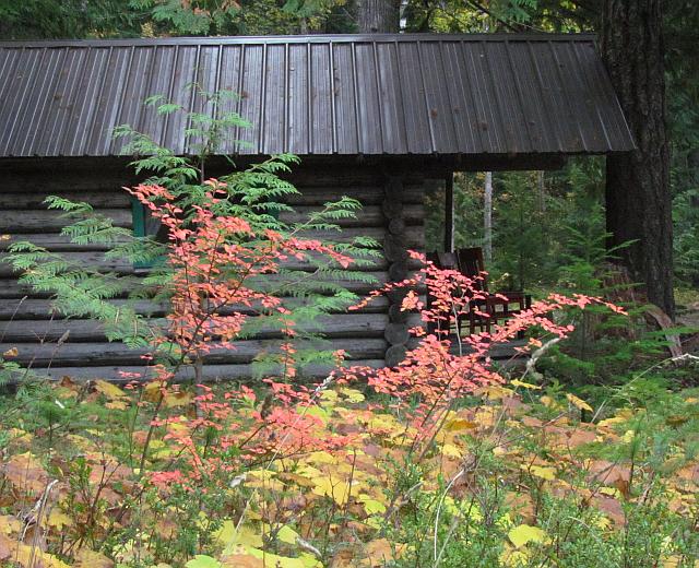 Stuie cabin