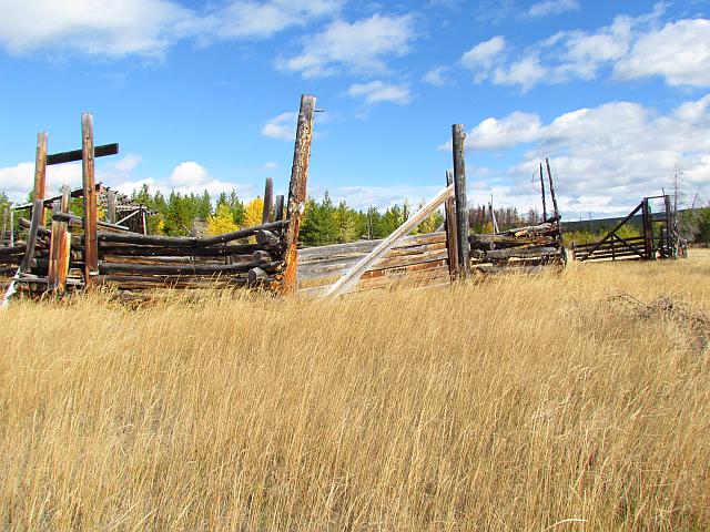 grass by a gate at Ginty Creek