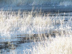 ice on lower pond at Ginty Creek
