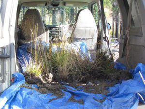 inside my van at Ginty Creek