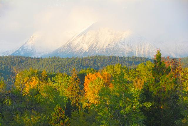 fresh snow on middle mountain