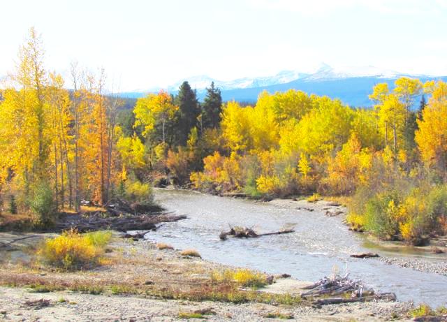 View from cabin at Ginty Creek