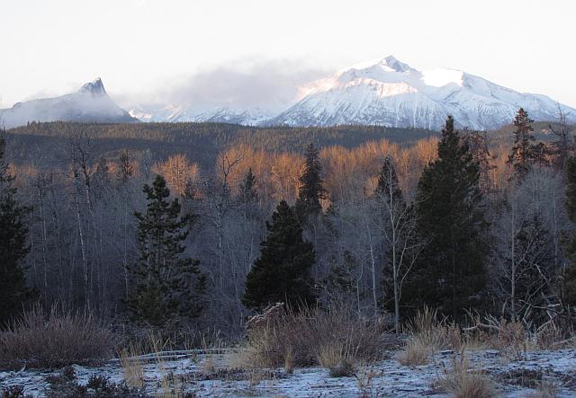 clear sunrise at Ginty Creek