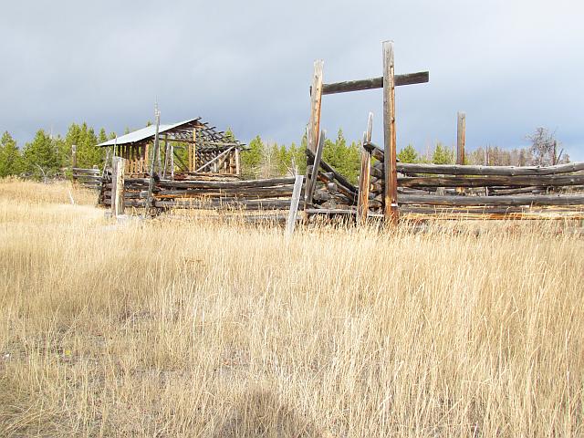 grass and barn at Ginty Creek