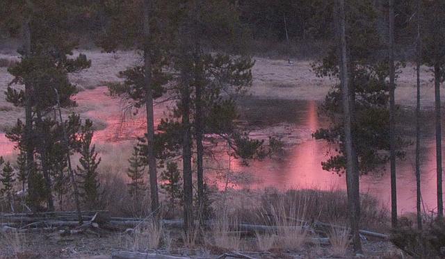 pink pond at Gnty Creek