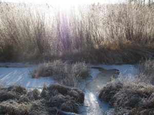 Ginty Creek freezing