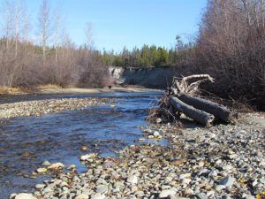 McClinchy River