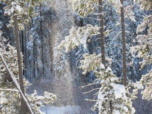 snow at Ginty Creek